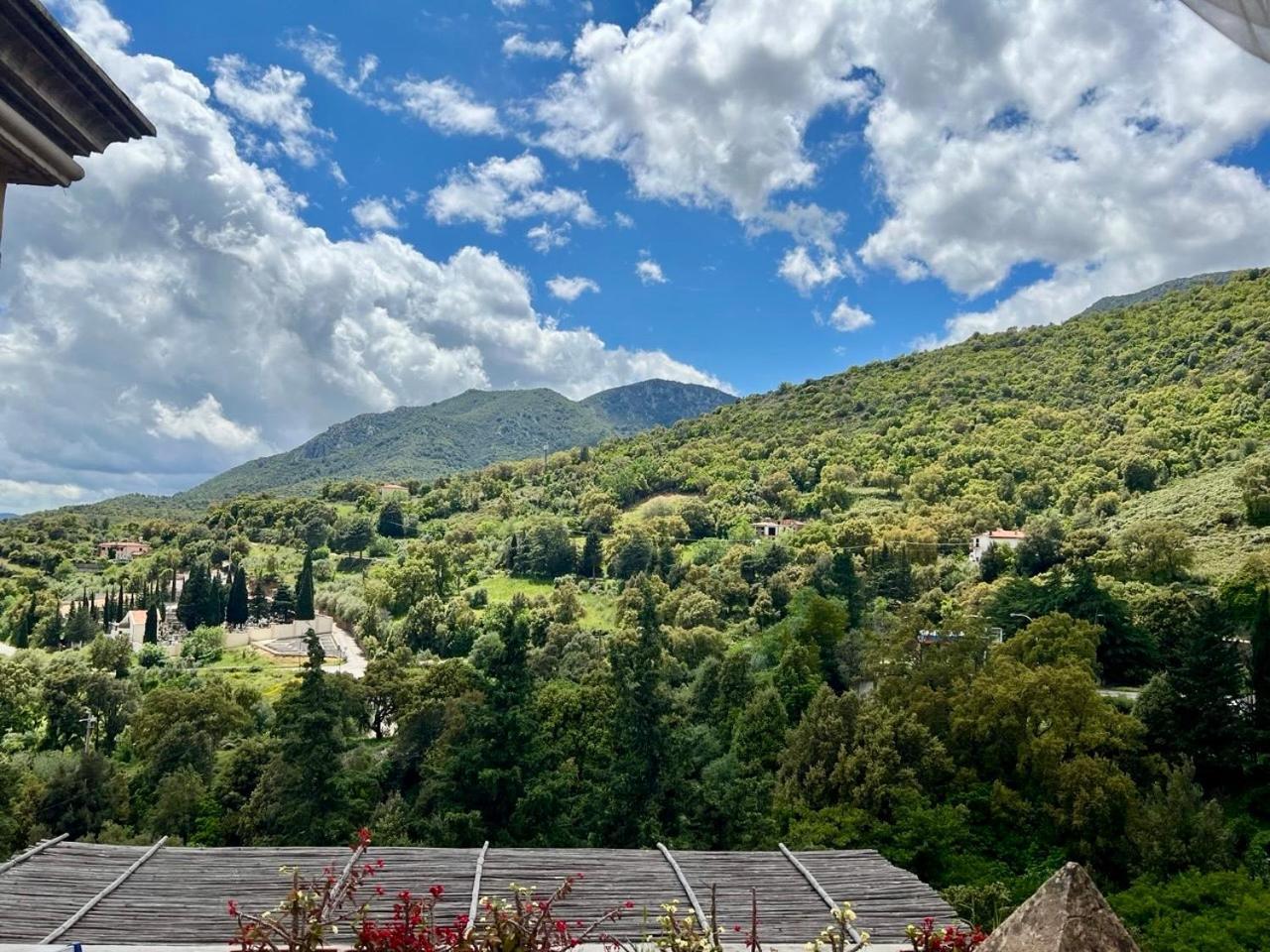 B&B Su Biancu - Sardinian Experience Urzulei Exteriér fotografie